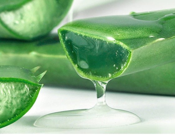 Aloe Gel Skin Care Moisturizing Face Cream - TTP