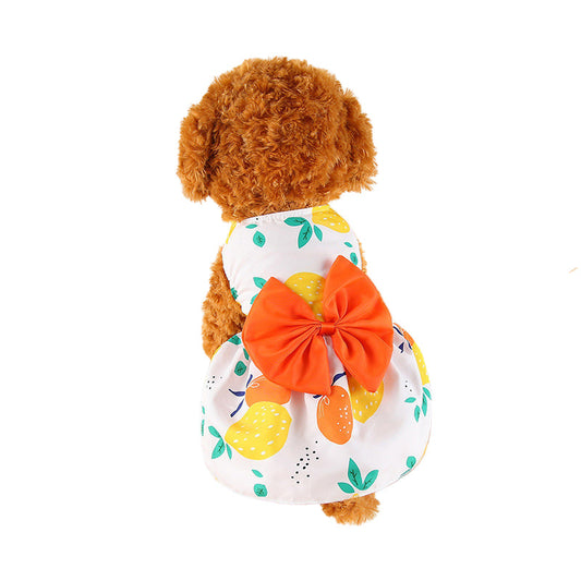 Pomeranian Bichon Pet Clothes
